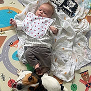 Armand participe au concours pour gagner de l'argent avec cette photo : baby, infant, dog, playmat, bib, blanket, toy, floor, clothing, animal, pet, smiling_dog, indoor, cute, face, lying_down, happy, playtime, child, young
