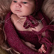 Jasmine Beneddine a rejoint le concours — aidez-le/la à gagner de superbes lots ! baby, infant, newborn, knitwear, bonnet, wrapped, cozy, portrait, soft_texture, wood_background, cute, child, sleepy, warm, hands, feet, closeup, studio_photo, peaceful, resting
