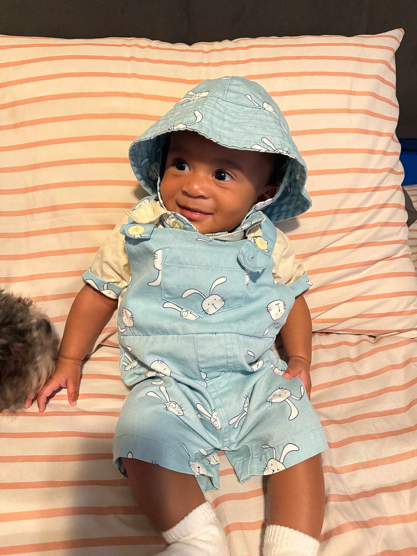 Taylor joined the competition — help win amazing prizes! baby, child, smiling, blue_clothing, bucket_hat, bunny_print, striped_bedspread, bed, dog, pet, sock, cute, indoor, happy, person, infant, portrait, sitting, animal, cozy