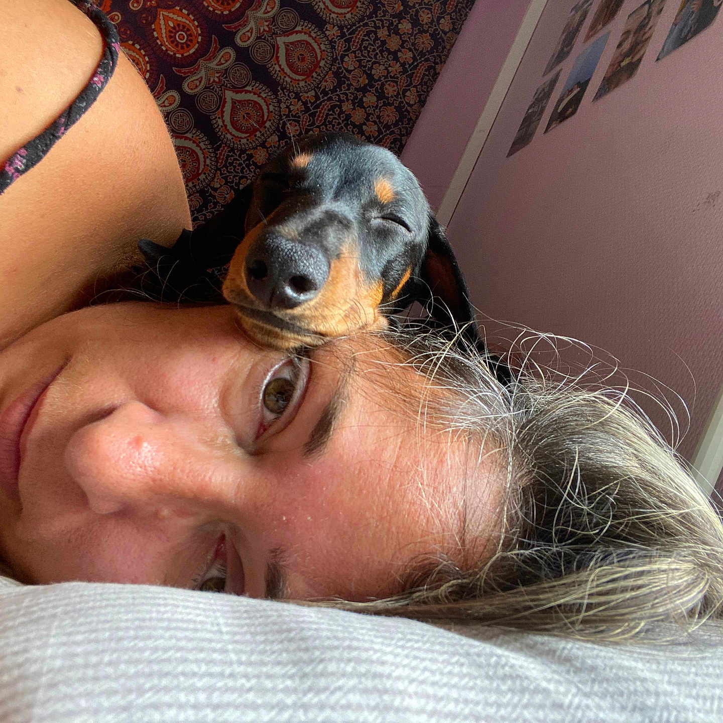 Pablo a rejoint le concours — aidez-le/la à gagner de superbes lots ! adult, animal, bed, bedroom, bodypart, canine, dog, face, female, finger, hand, head, hound, indoors, person, pet, photography, portrait, puppy, woman