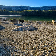 Paco participe au concours pour gagner de l'argent avec cette photo : cat, black_cat, animal, pet, outdoors, lakeside, lake, shoreline, pebbles, rocks, cliff, forest, trees, nature, landscape, scenery, sunlight, water, beach, walking