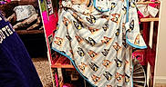 Mufasa is registered to the contest to win money with this photo: blanket, carpet, carpeted_floor, cat, child, colorful, couch, cozy, dollhouse, furniture, home, indoor, looking, orange_cat, patterned_blanket, person, pillow, sitting, toy, toy_horse