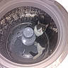 Oscar is registered to the contest to win money with this photo: animal, appliance, cat, cleaning, curious, domestic, enclosed_space, feline, gray_and_white, household, indoor, looking_up, machine_drum, metal, pet, quiet, resting, round, top_load, washing_machine