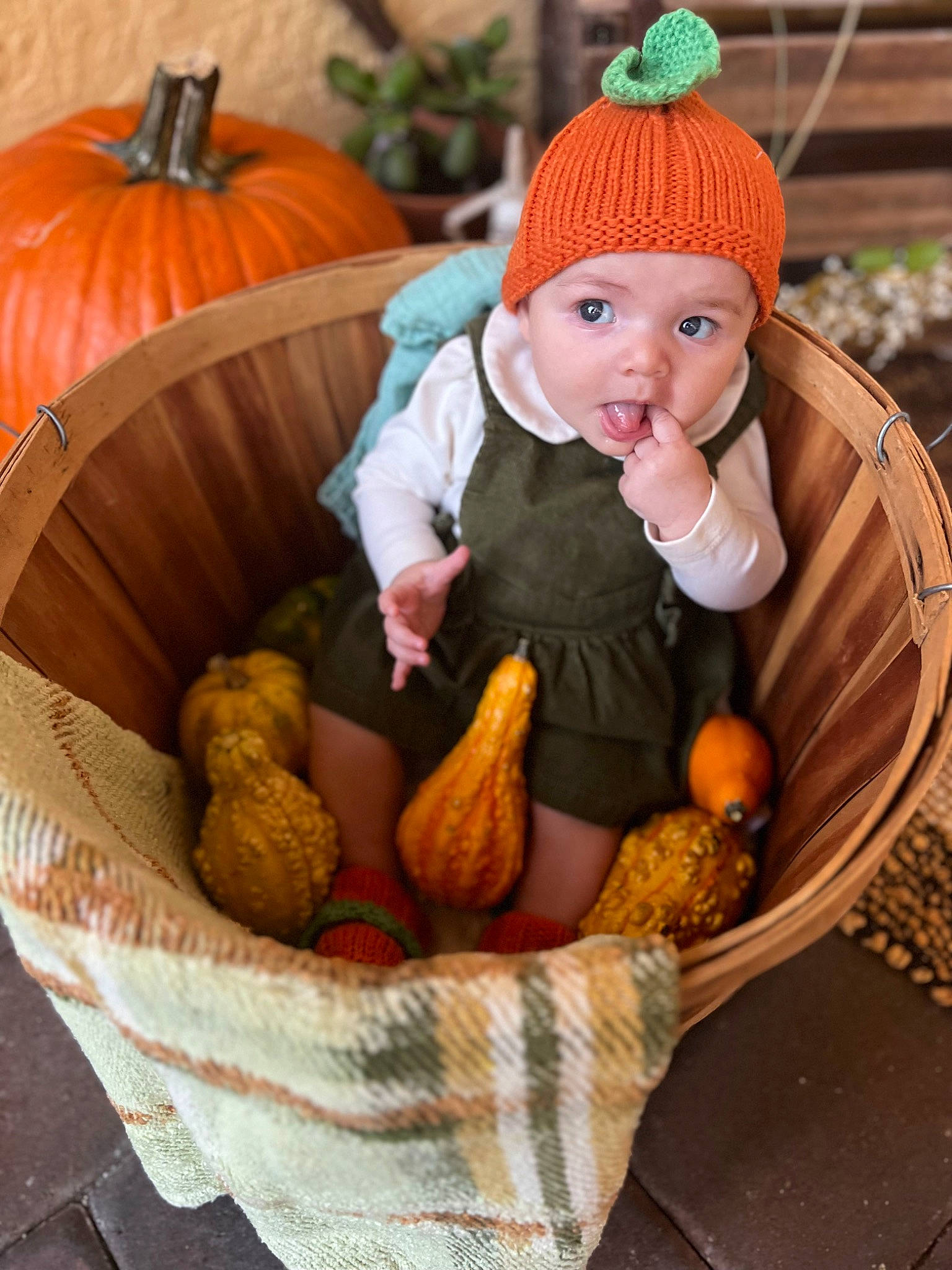 Isla is registered to the contest to win money with this photo: basket, calabaza, cap, child, comfort, cucurbita, gourd, grass, headgear, headwear, leisure, natural_foods, orange, person, plant, pumpkin, squash, stuffed_toy, surprise, vegetable