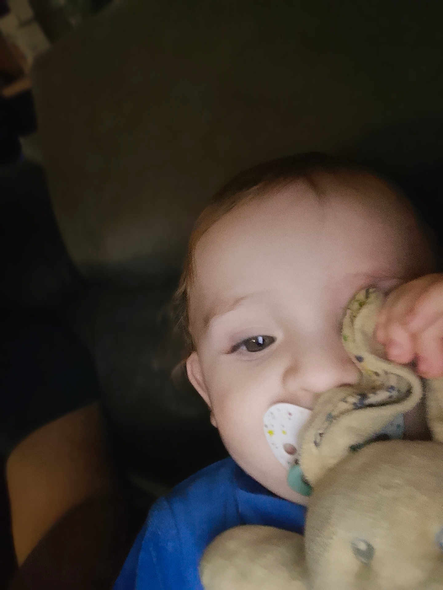 Fiurenzu participe au concours pour gagner de l'argent avec cette photo : child, baby, pacifier, stuffed_animal, toy, close_up, indoor, blue_shirt, face, hand, plush, comfort, infant, young_child, portrait, cuddle, cute, soft_toy, baby_toy, childhood