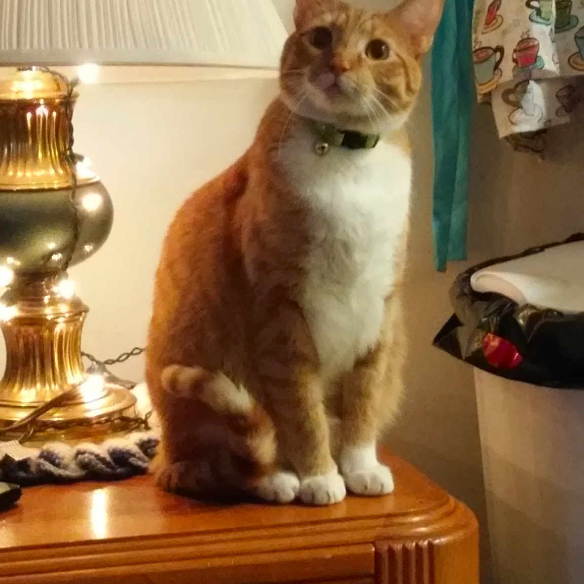 Aksel