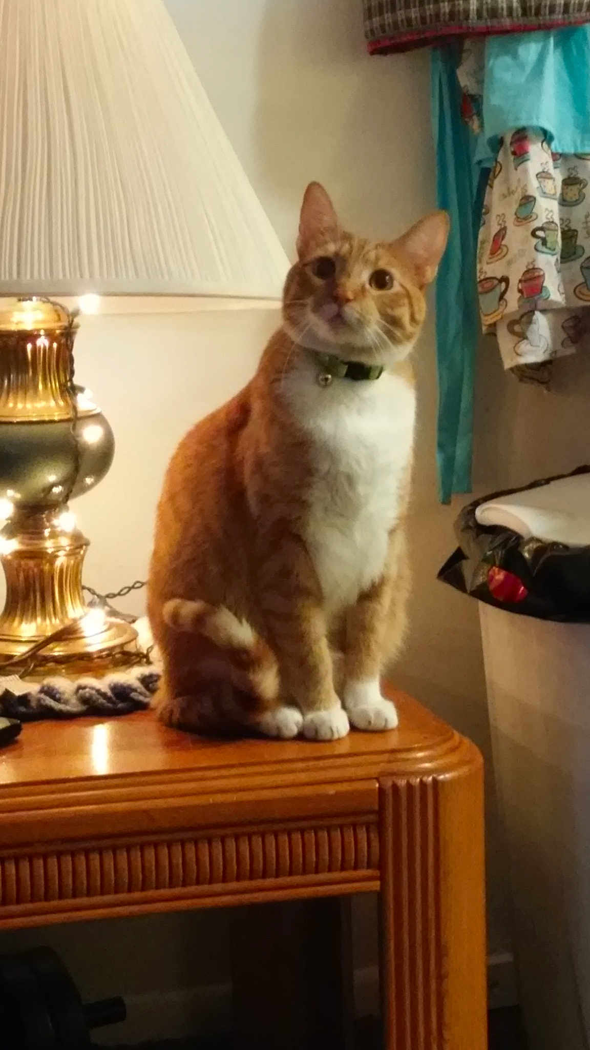 Aksel