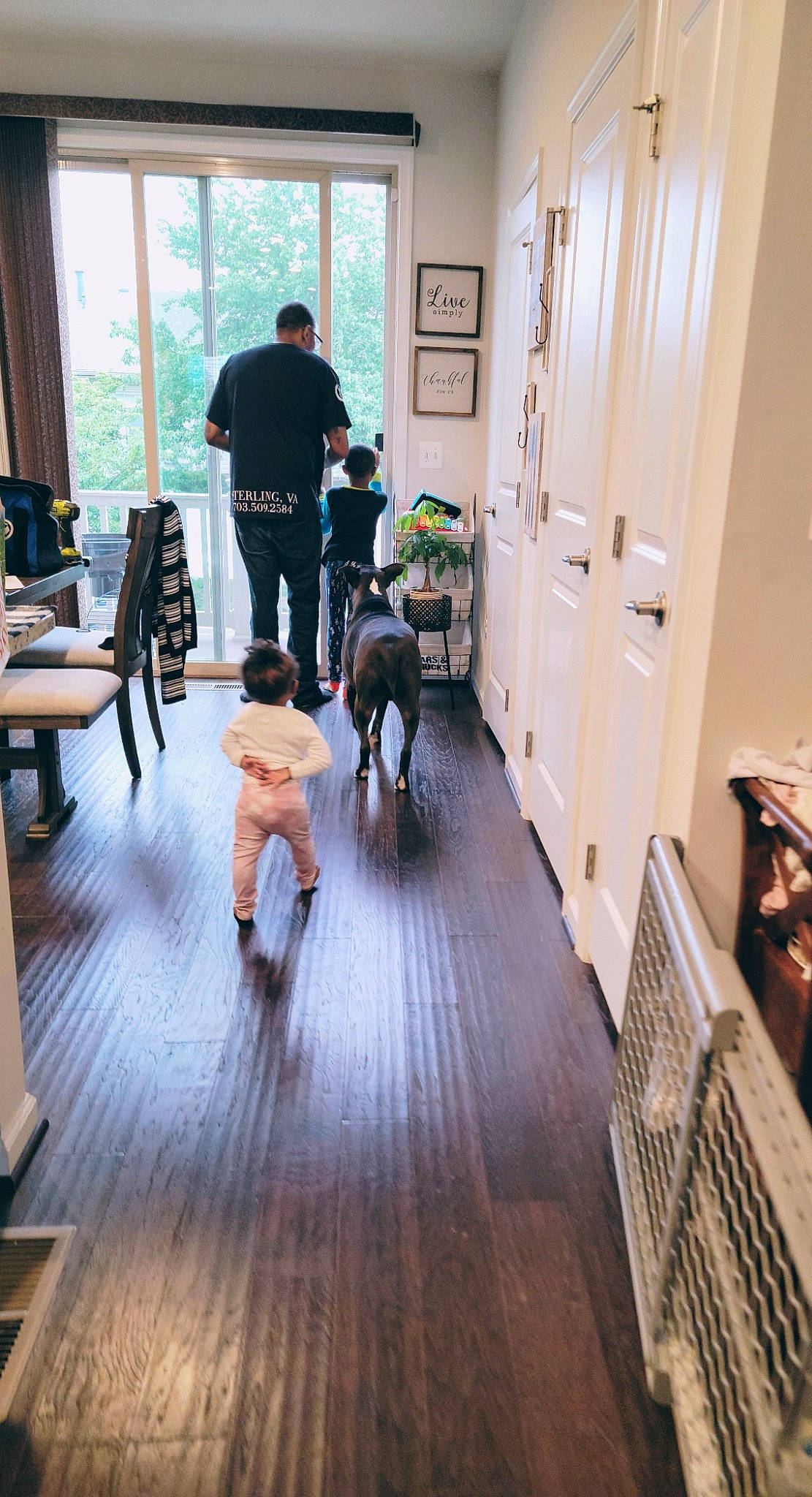 Nahla joined the competition — help win amazing prizes! carnivore, comfort, companion_dog, dog, door, floor, flooring, furniture, hardwood, laminate_flooring, leisure, person, plank, real_estate, table, tree, varnish, window, wood, wood_flooring