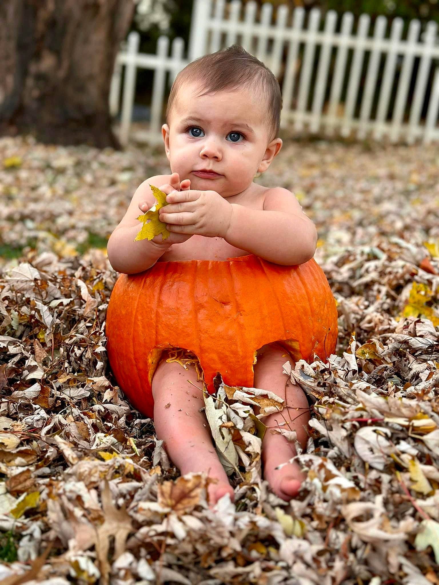 Axel joined the competition — help win amazing prizes! autumn, baby, baby_toddler_clothing, cheek, child, deciduous, dress, face, foot, grass, happy, human_leg, people_in_nature, person, plant, sitting, soil, spring, toddler, tree