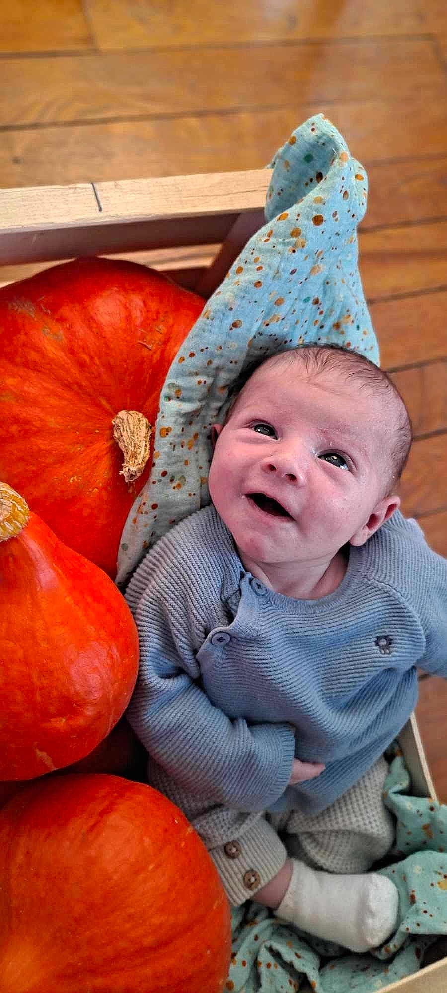 Andrea a rejoint le concours — aidez-le/la à gagner de superbes lots ! baby, baby_toddler_clothing, calabaza, child, costume_hat, cucurbita, eye, gourd, happy, hat, head, human_body, natural_foods, party_hat, person, plant, pumpkin, squash, toddler, vegetable