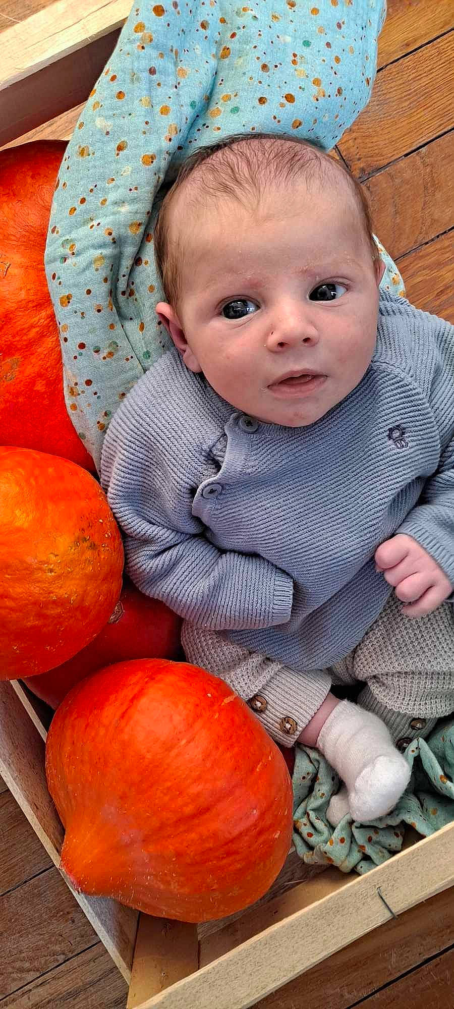 Andrea participe au concours pour gagner de l'argent avec cette photo : arm, baby, baby_toddler_clothing, calabaza, cucurbita, dress, eye, face, facial_expression, food, fruit, gourd, human_body, iris, natural_foods, person, plant, pumpkin, squash, toddler