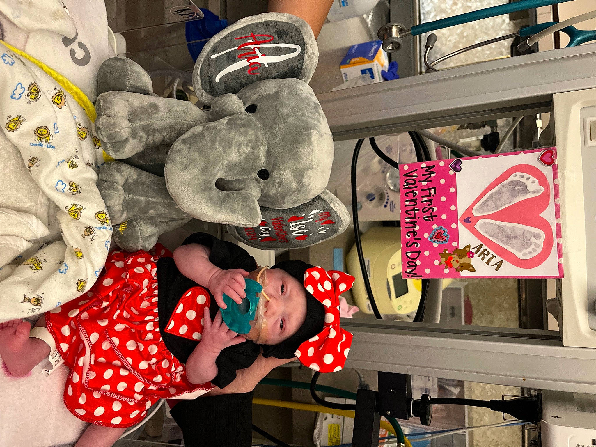 Aria is registered to the contest to win money with this photo: baby, baby_toddler_clothing, carmine, child, collection, event, fun, happy, hat, headwear, pattern, person, plush, room, shelf, shelving, stuffed_toy, t_shirt, toddler, toy