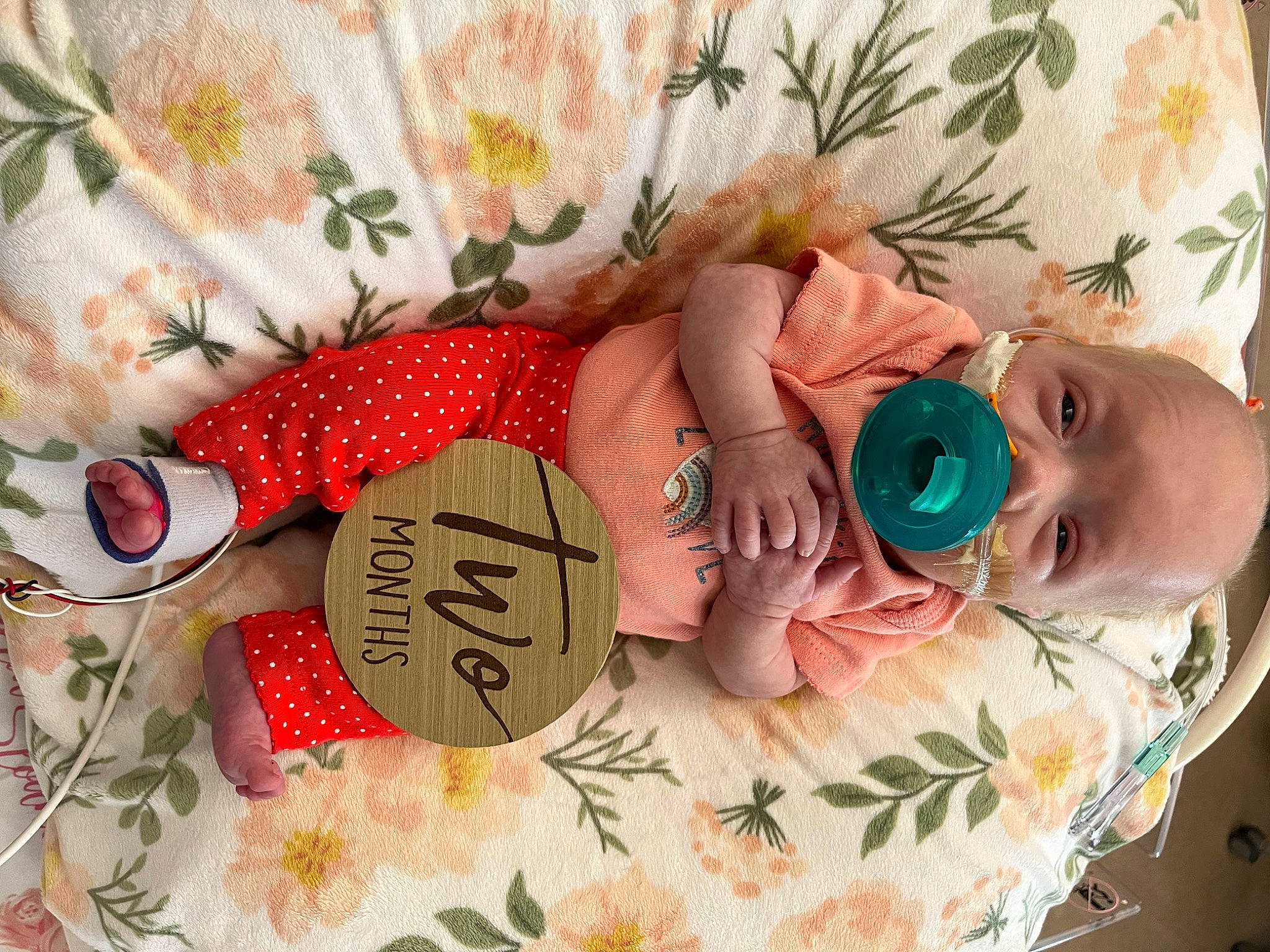 Aria joined the competition — help win amazing prizes! baby, baby_products, baby_toddler_clothing, child, comfort, event, fashion_accessory, glasses, happy, holiday, linens, pattern, peach, person, plant, room, rose, skin, sunglasses, textile