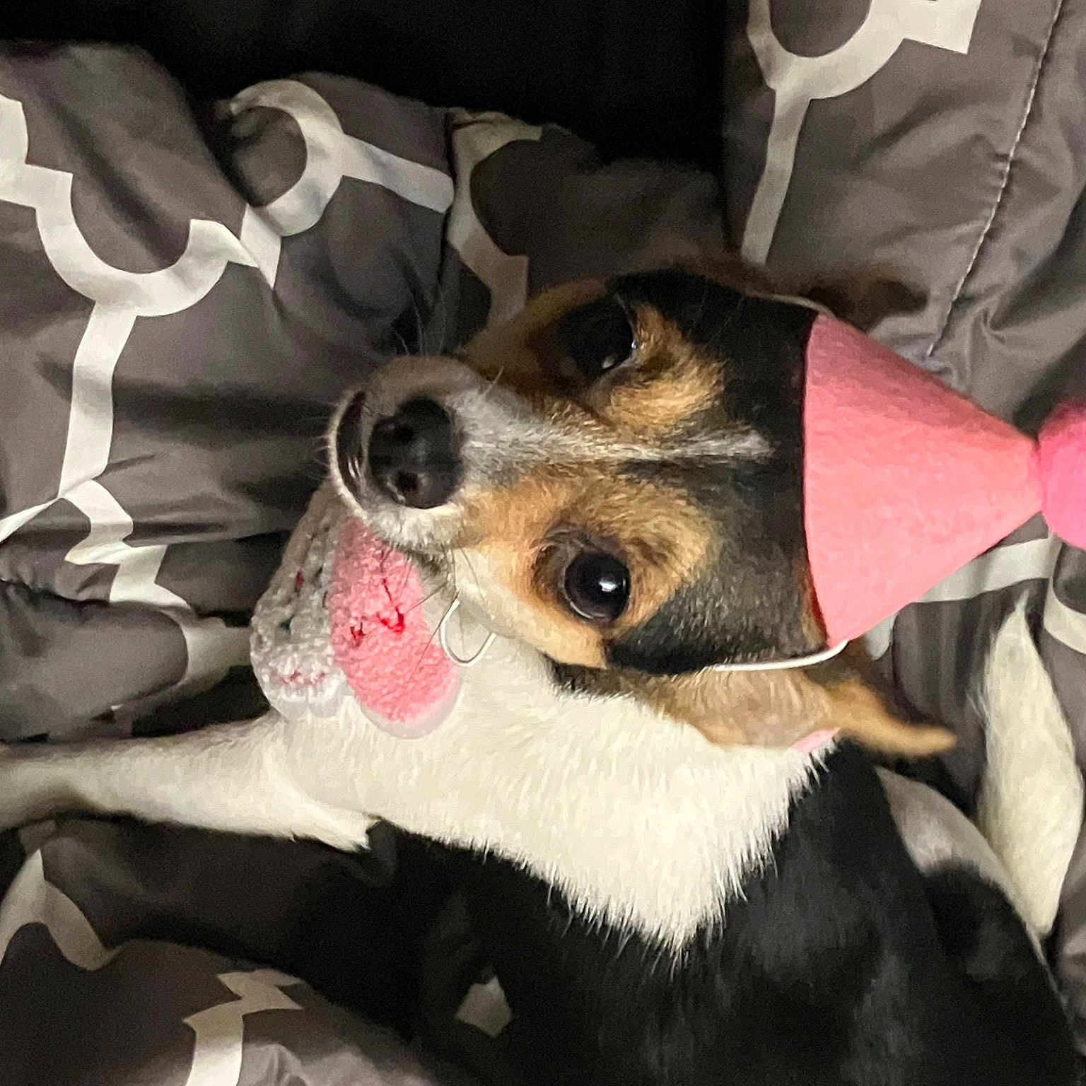 Betty