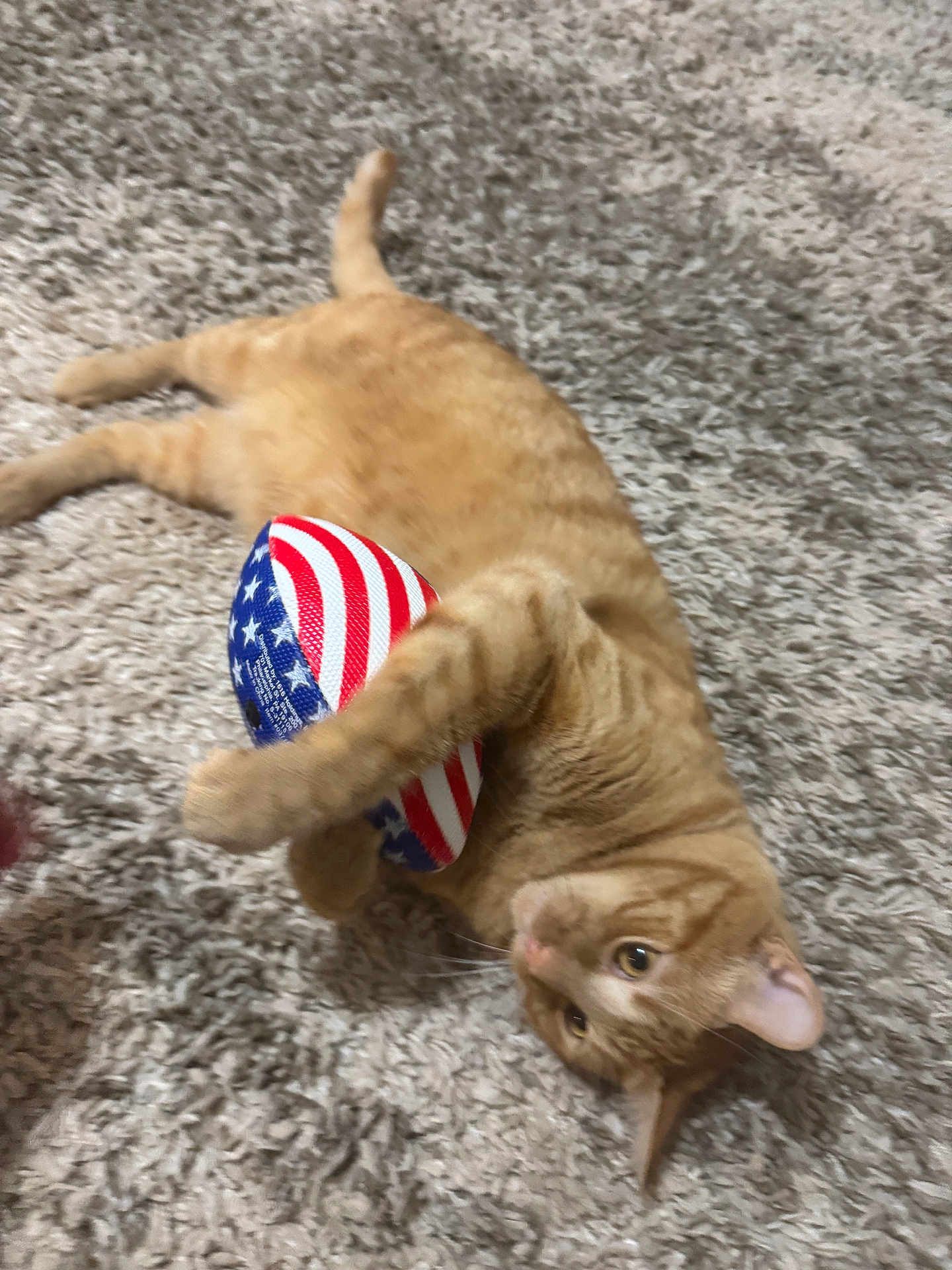 Peanut