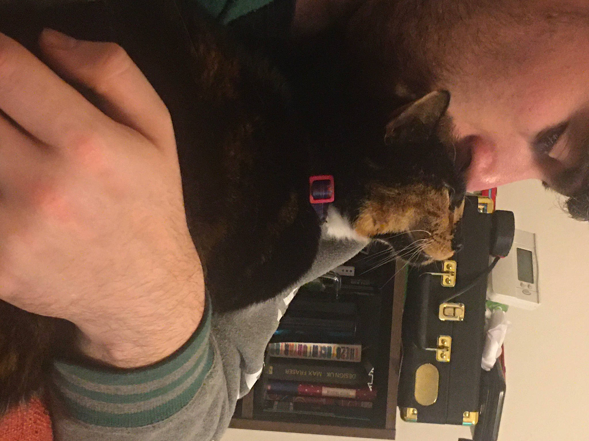 Klaws is registered to the contest to win money with this photo: audio_equipment, carnivore, ear, elbow, felidae, finger, fur, gadget, gesture, machine, mobile_phone, nail, small_to_medium_sized_cats, snout, thumb, whiskers, wrist