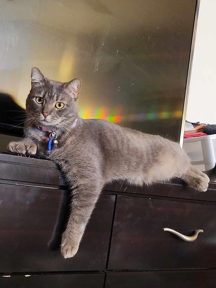 Matilda