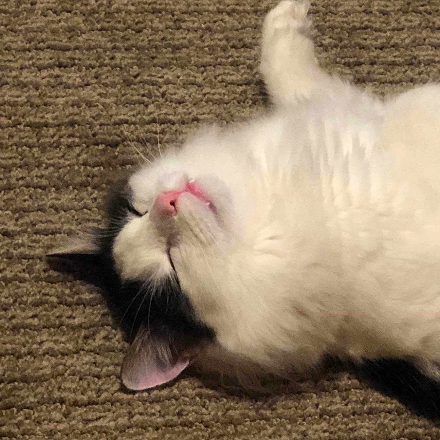 Max