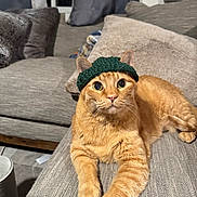 Sweeney is registered to the contest to win money with this photo: animal, cat, couch, cozy, curtains, cute, domestic_animal, ears, eyes, feline, fur, indoor, knit_hat, living_room, orange_tabby, pet, pillow, relaxed, resting, whiskers