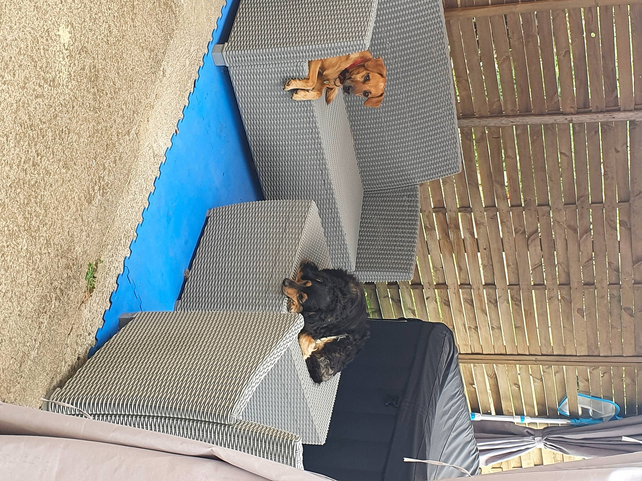 Olivia a rejoint le concours — aidez-le/la à gagner de superbes lots ! blue, comfort, linens