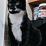 cat, tuxedo_cat, black_and_white, sitting, green_eyes, kitchen, countertop, tiles, nutella_jar, pet, feline, whiskers, indoor, animal, curious, close_up, domestic_cat, fur, paws, alert
