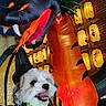 Blizzard joined the competition — help win amazing prizes! dog, pet, animal, costume, halloween, monster, inflatable, dragon, lanterns, festival, outdoor, night, portrait, close_up, smiling, open_mouth, fluffy, white_fur, green_costume, colorful