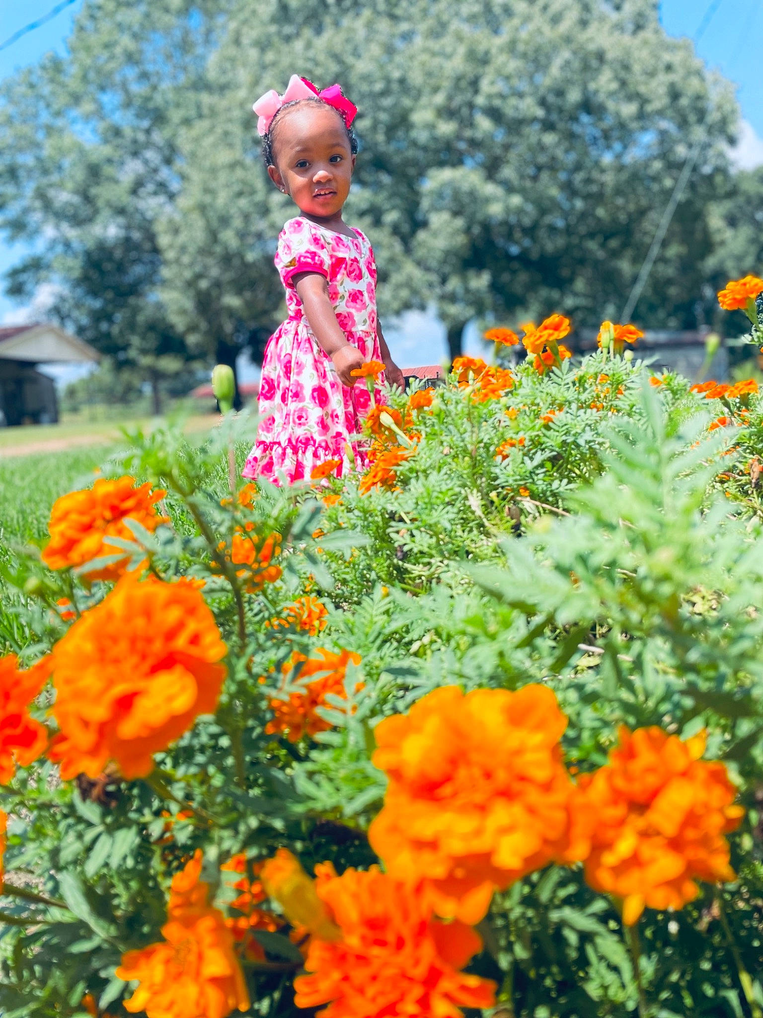 Allyson is registered to the contest to win money with this photo: botany, dress, ecoregion, flower, flowering_plant, grass, green, groundcover, happy, landscape, leaf, meadow, natural_environment, orange, people_in_nature, person, petal, plant, sky, tree
