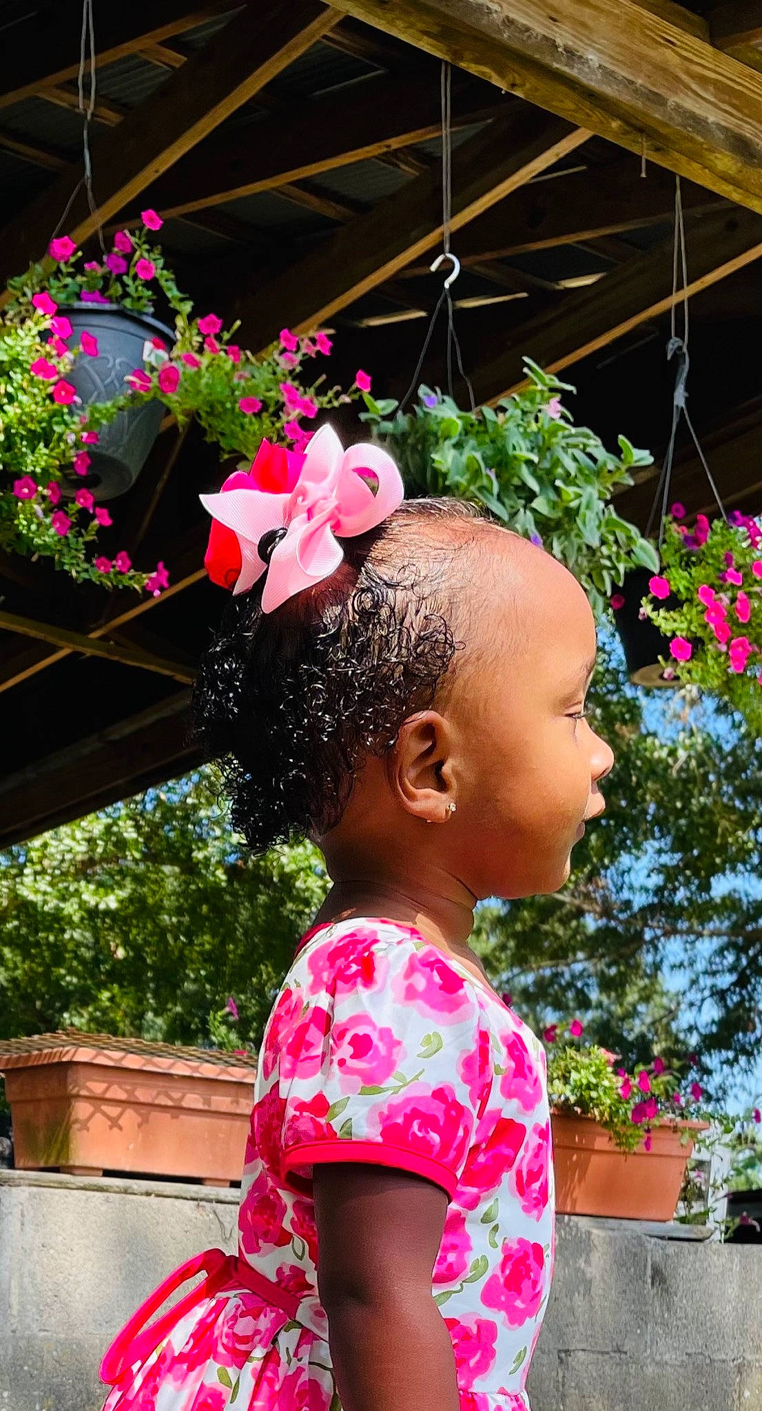 Allyson joined the competition — help win amazing prizes! beauty, botany, event, fashion_accessory, flower, flower_arranging, flowerpot, fun, happy, houseplant, leisure, magenta, people, person, petal, photograph, pink, plant, red, snapshot