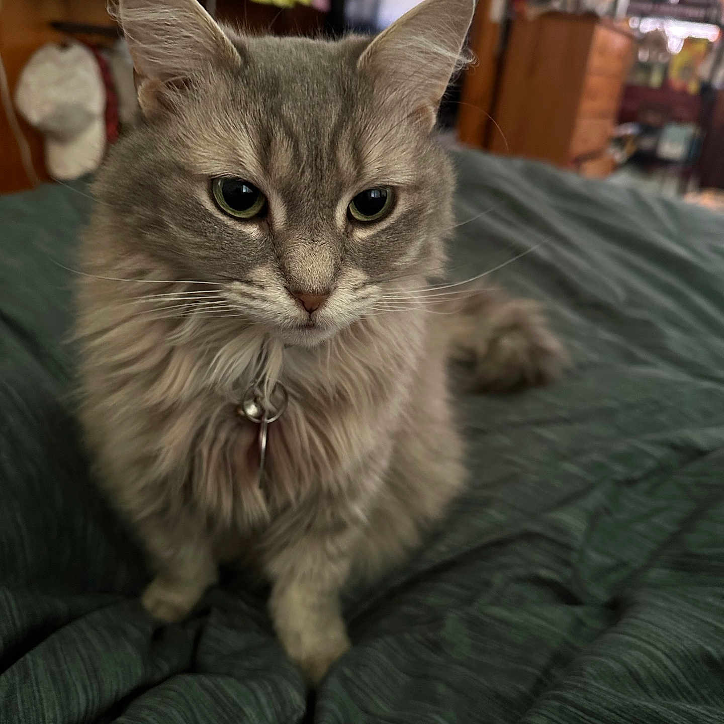 Jillian