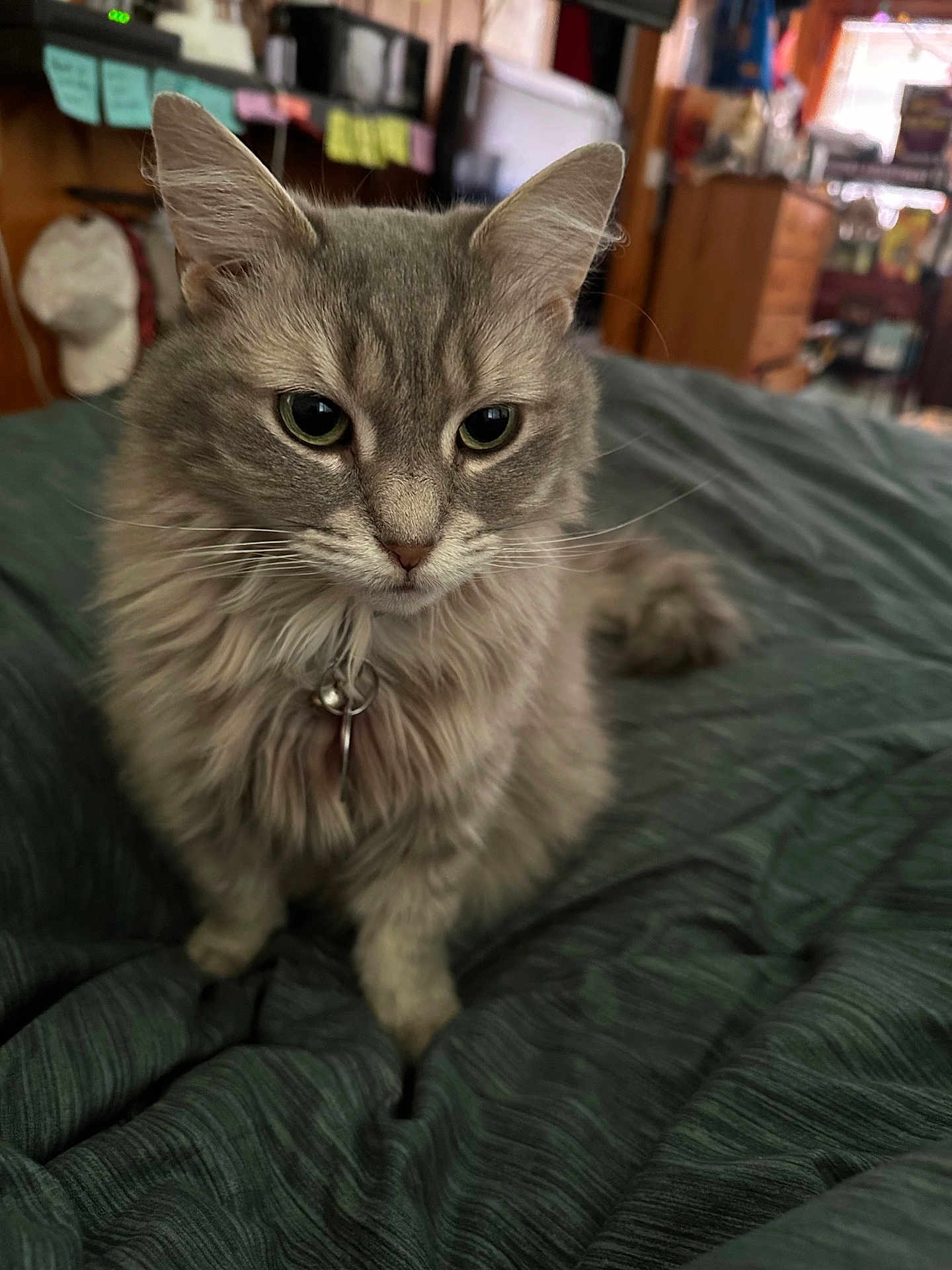 Jillian