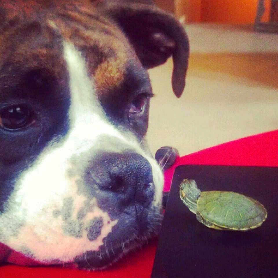 Stoney is registered to the contest to win money with this photo: