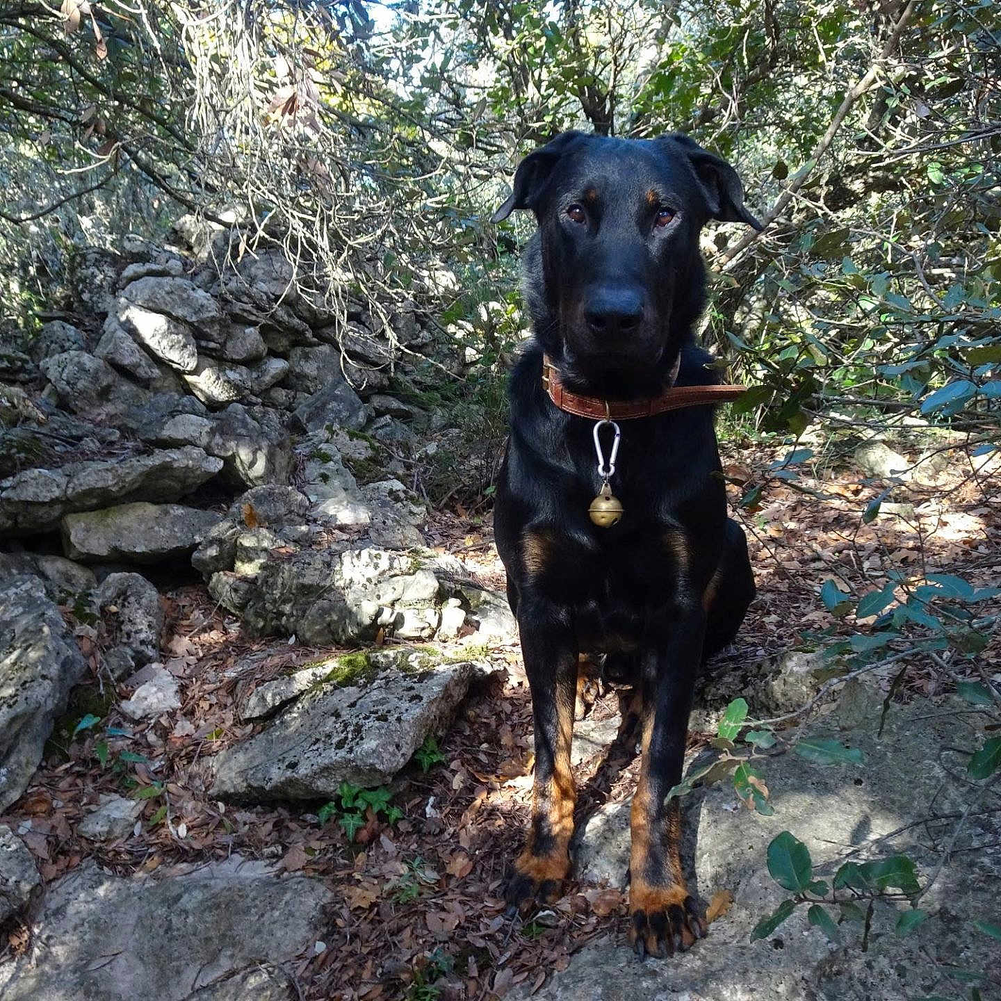 Ukko Du Grand Buech.