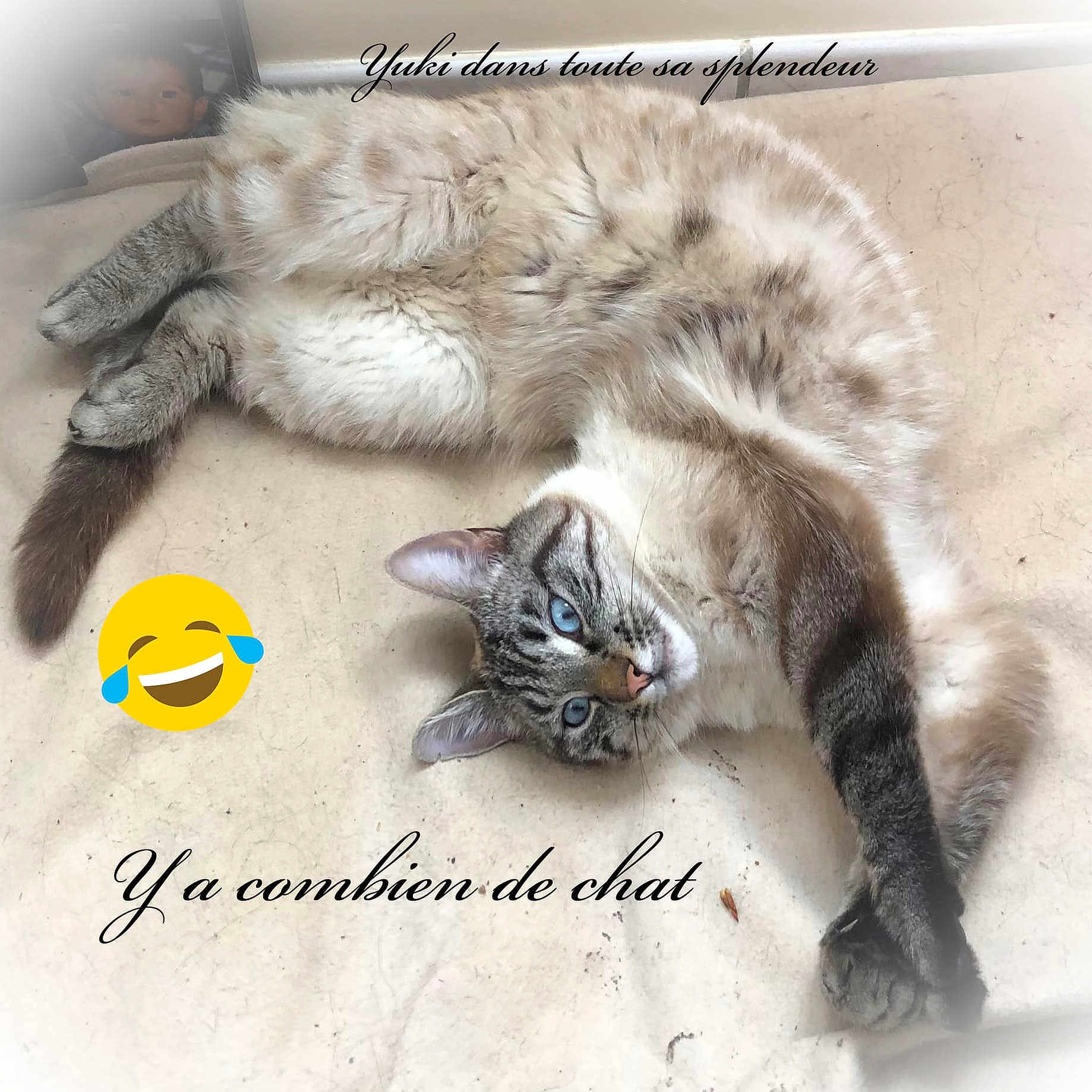 Yuki