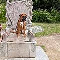 Annie R.