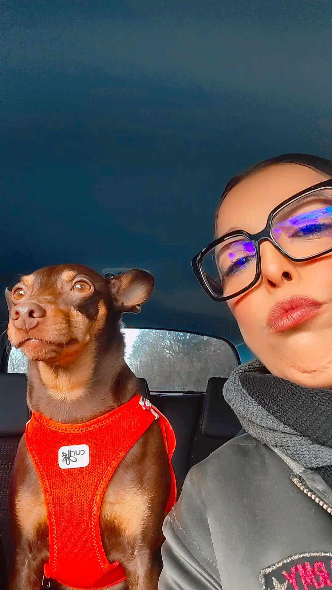 Mozart a rejoint le concours — aidez-le/la à gagner de superbes lots ! dog, person, glasses, scarf, car, orange_harness, brown_dog, seat, window, daylight, portrait, face, closeup, travel, vehicle_interior, casual_clothing, happy, alert, side_by_side, winter