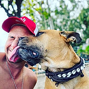 Momo a rejoint le concours — aidez-le/la à gagner de superbes lots ! man, dog, outdoor, affection, tongue, cap, collar, smile, closeup, pet, happy, face, necklace, animal, nature, friendship, summer, canine, portrait, playful