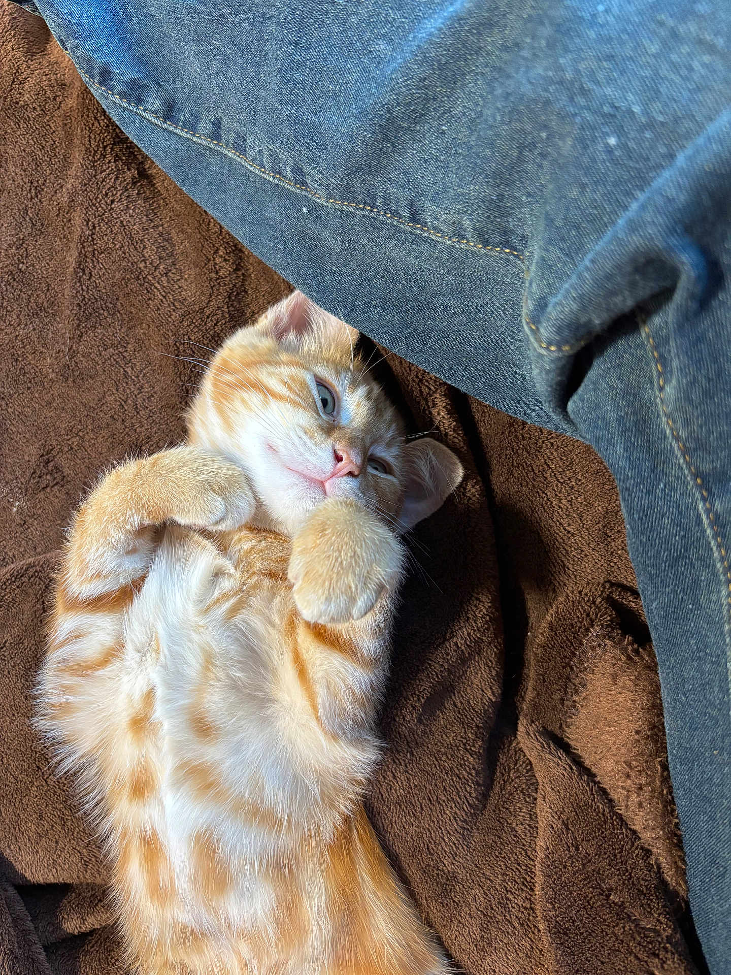 Milo