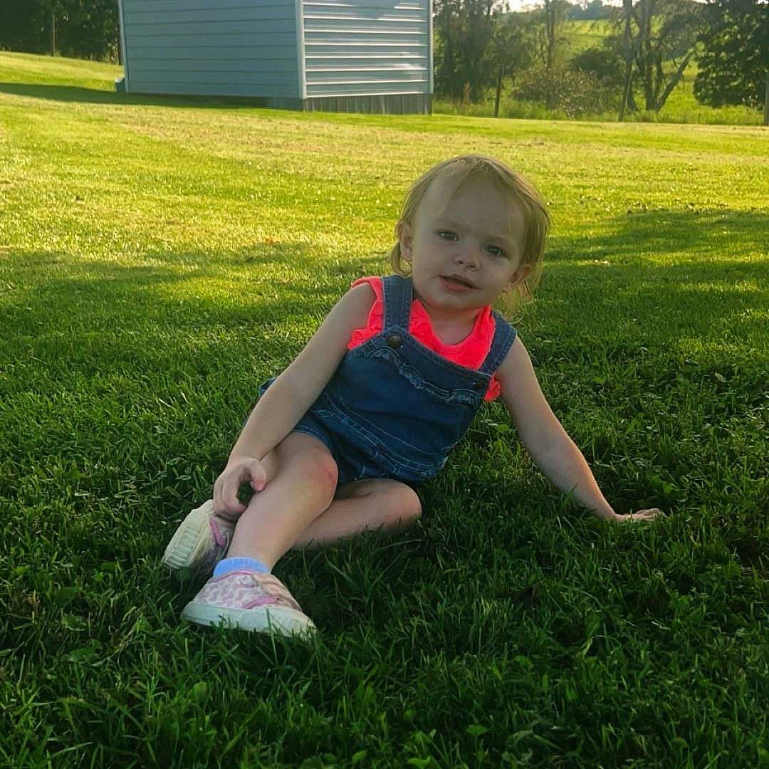 Paisley