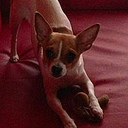 Nicky a rejoint le concours — aidez-le/la à gagner de superbes lots !