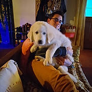 Sunnny a rejoint le concours — aidez-le/la à gagner de superbes lots ! person, dog, puppy, couch, indoor, home, coat, bag, glasses, orange_pants, blanket, pillow, curtain, door, hand, sitting, pet, furniture, relaxing, warm_lighting