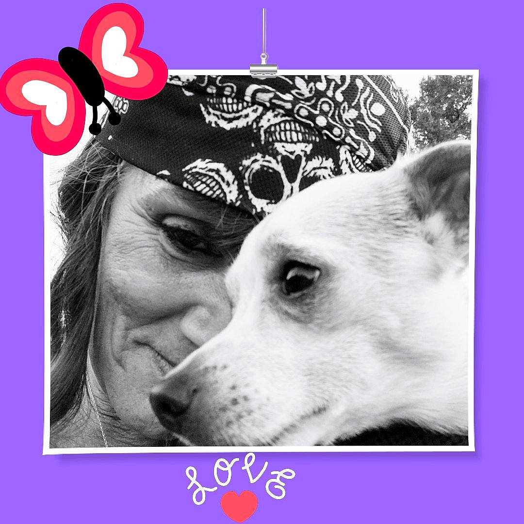 Harley joined the competition — help win amazing prizes! advertising, art, beauty, carnivore, companion_dog, dog, dog_breed, eyelash, fashion_accessory, font, happy, jewellery, magenta, monochrome_photography, photo_caption, rectangle, selfie, stock_photography, style, whiskers