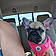 Lucy