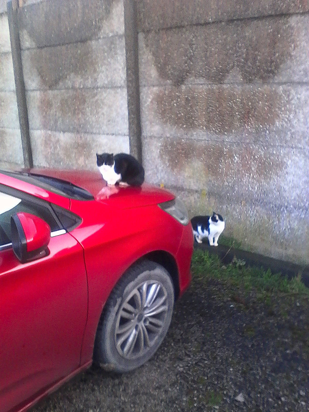 Fantomette participe au concours pour gagner de l'argent avec cette photo : alloy_wheel, automotive_wheel_system, automotive_window_part, car, city_car, family_car, fender, hatchback, hood, land_vehicle, metal, mid_size_car, red, rim, sedan, subcompact_car, vehicle, wheel