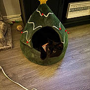 Gucci joined the competition — help win amazing prizes! black_cat, cat, cat_bed, christmas_tree, holiday, indoor, pet, animal, feline, wooden_floor, decor, toy, cozy, curious, yellow_eyes, festive, home, cable, cabinet, collar