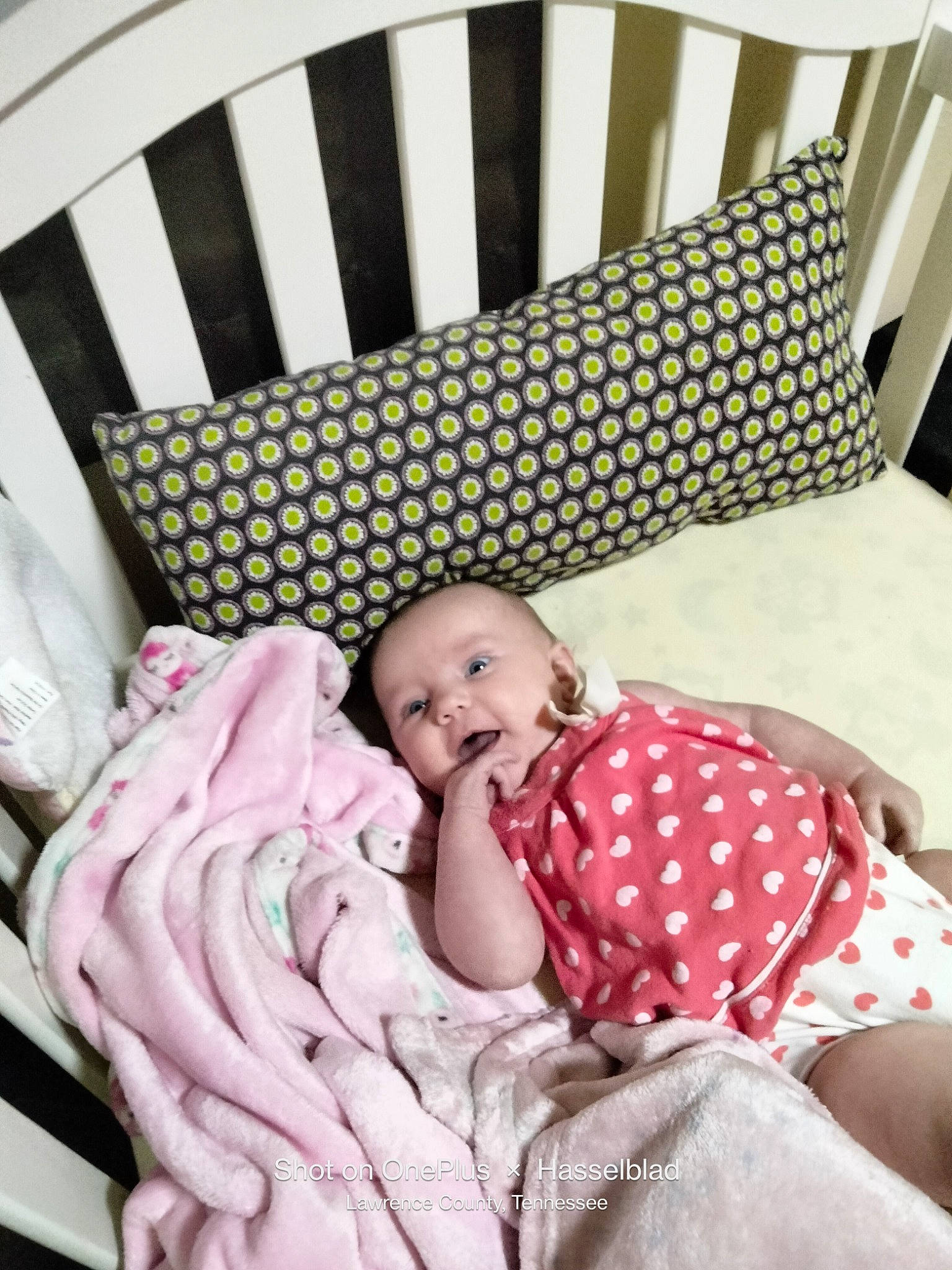 Sherry is registered to the contest to win money with this photo: baby, baby_products, baby_safety, baby_sleeping, baby_toddler_clothing, bedding, child, comfort, cradle, face, head, human_body, infant_bed, linens, outdoor_furniture, pattern, person, product, textile, toddler