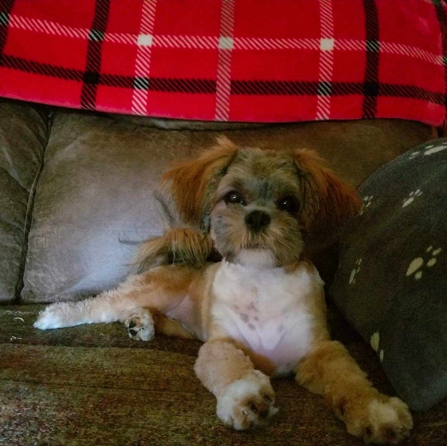 Abby