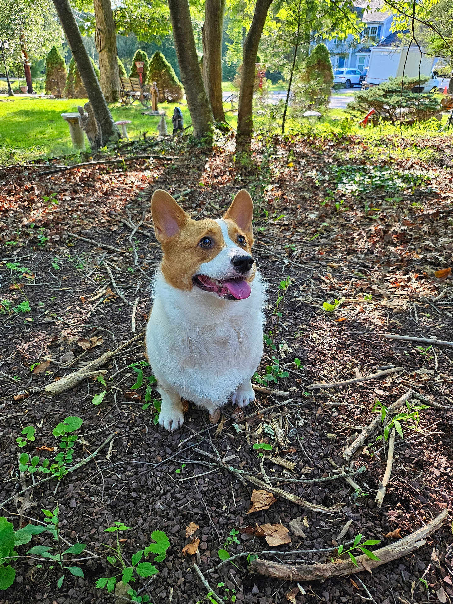 Ein