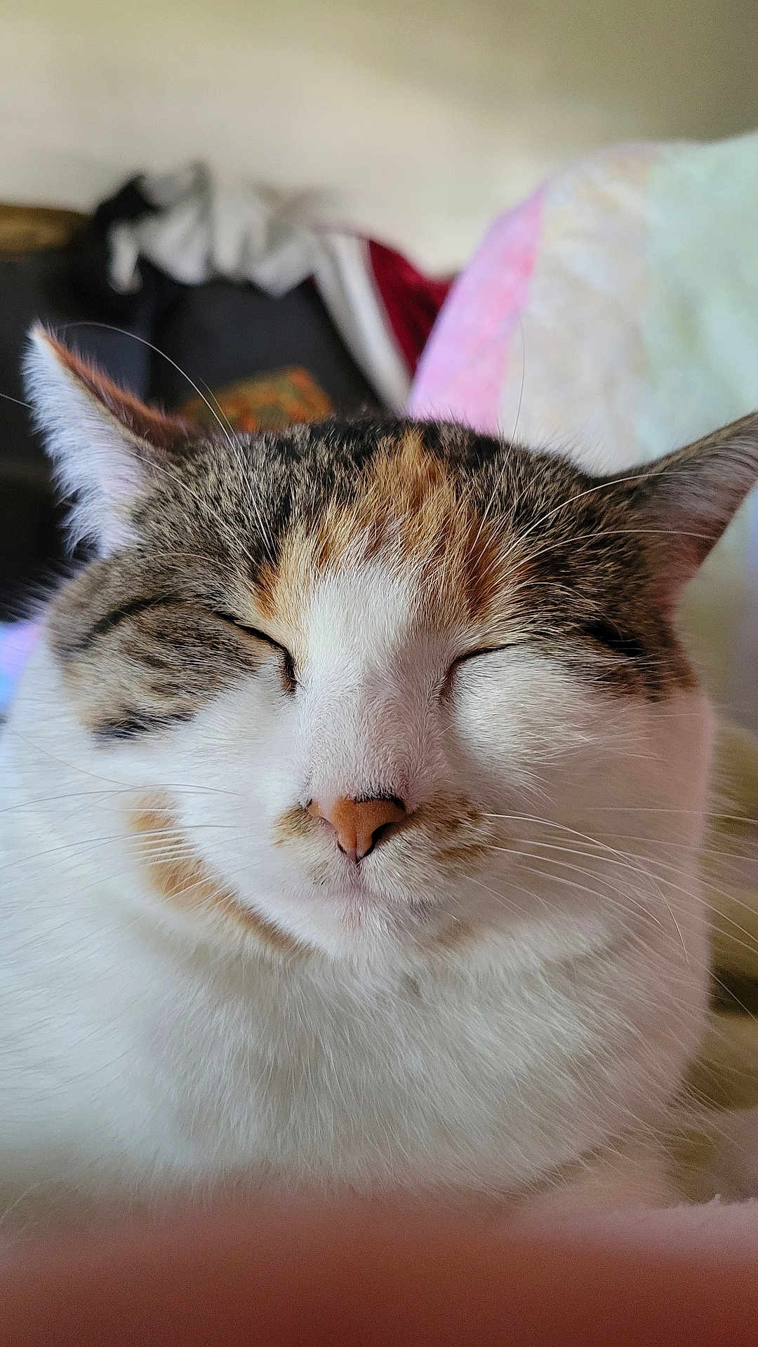 Freya