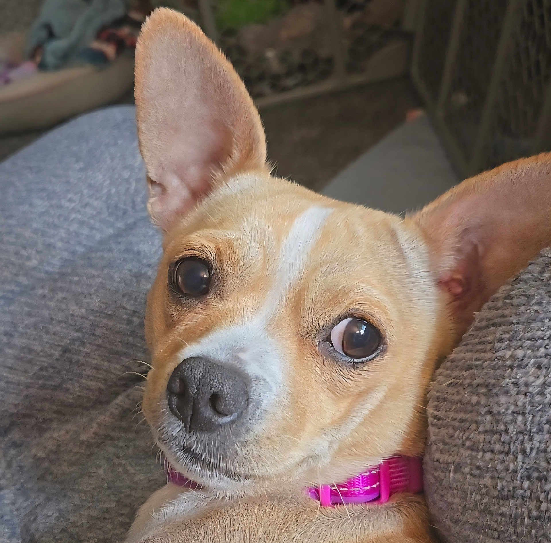 Katie