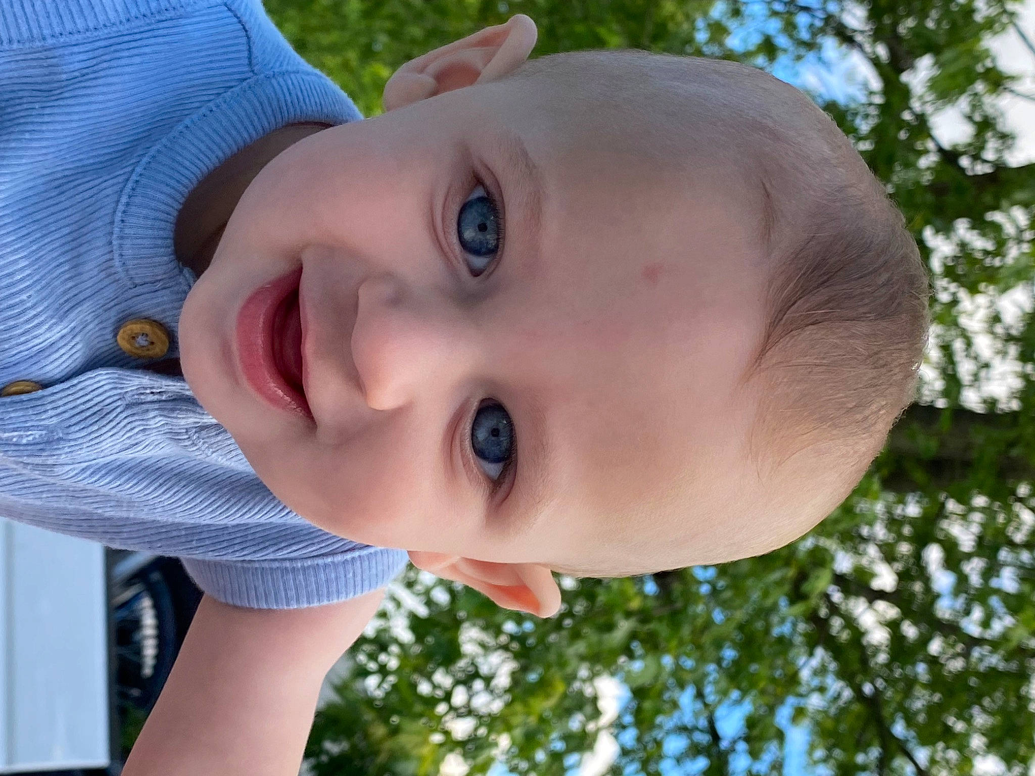 Dallas is registered to the contest to win money with this photo: chin, daytime, eyelash, grass, happy, hat, iris, joy, leisure, lip, neck, nose, people_in_nature, person, plant, skin, smile, sunlight, toddler, tree